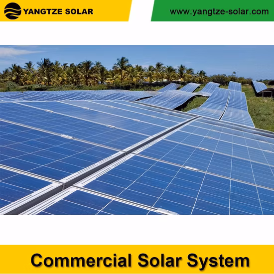 Yangtze Hefei Manufacturer 1 MW PV Solar Panel Power System with Solar on Grid Inverter