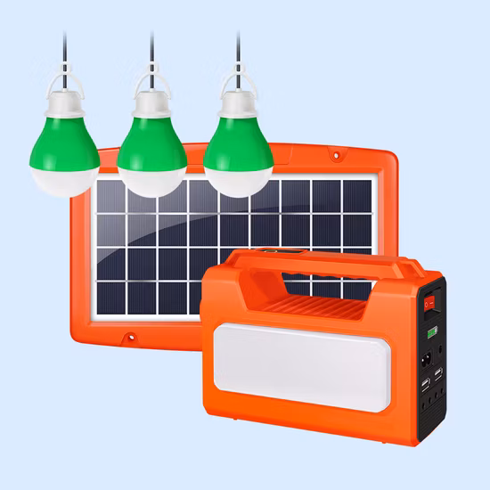 Lighting Africa Portable Solar Energy System Light Kit (Reading light and Torch)